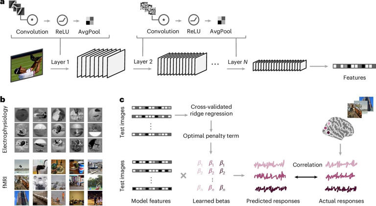 Small changes make some AI systems more brain-like than others
