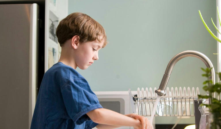 pensarcontemporaneo.com - Harvard chama aten&ccedil;&atilde;o para 2026: Se seu filho faz isso, ele tem uma intelig&ecirc;ncia emocional superior &agrave; dos demais (e a maioria dos pais n&atilde;o percebe)