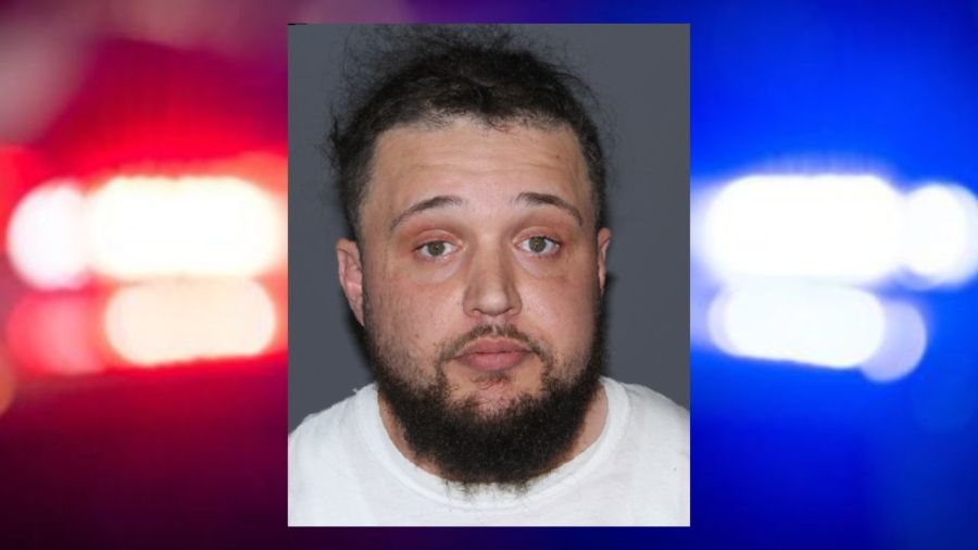 Elmira man arrested on assault and weapon charges