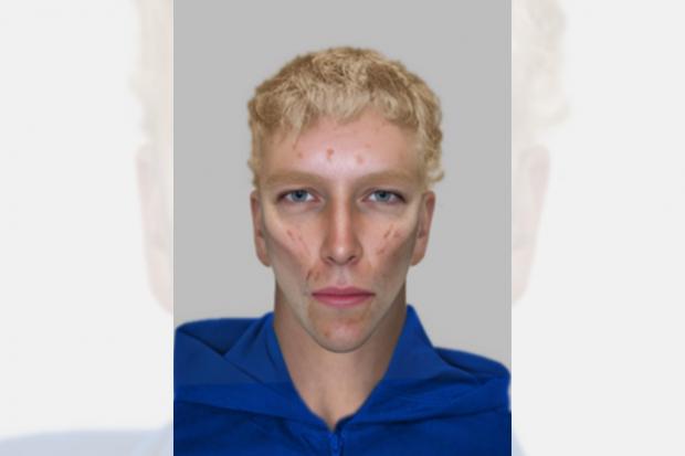 Police search for man with 'pointed chin who exposed himself in alley'