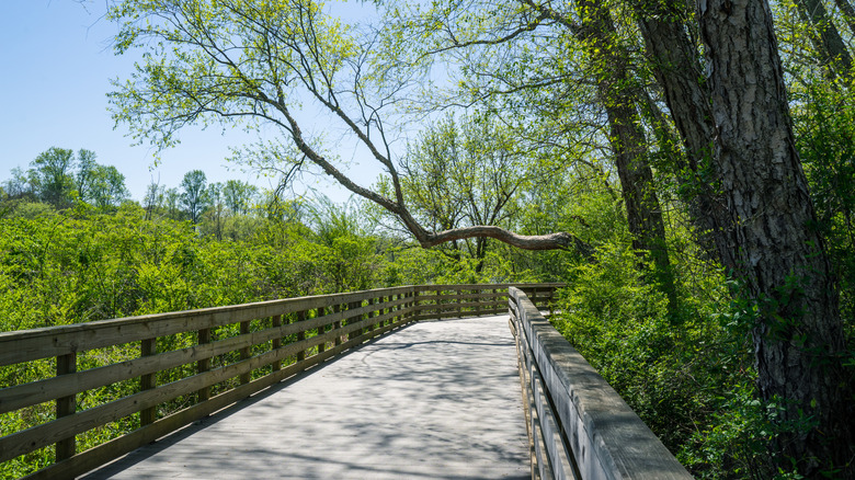 This Charming Atlanta Suburb With A Walkable Downtown And Vintage Shops ...