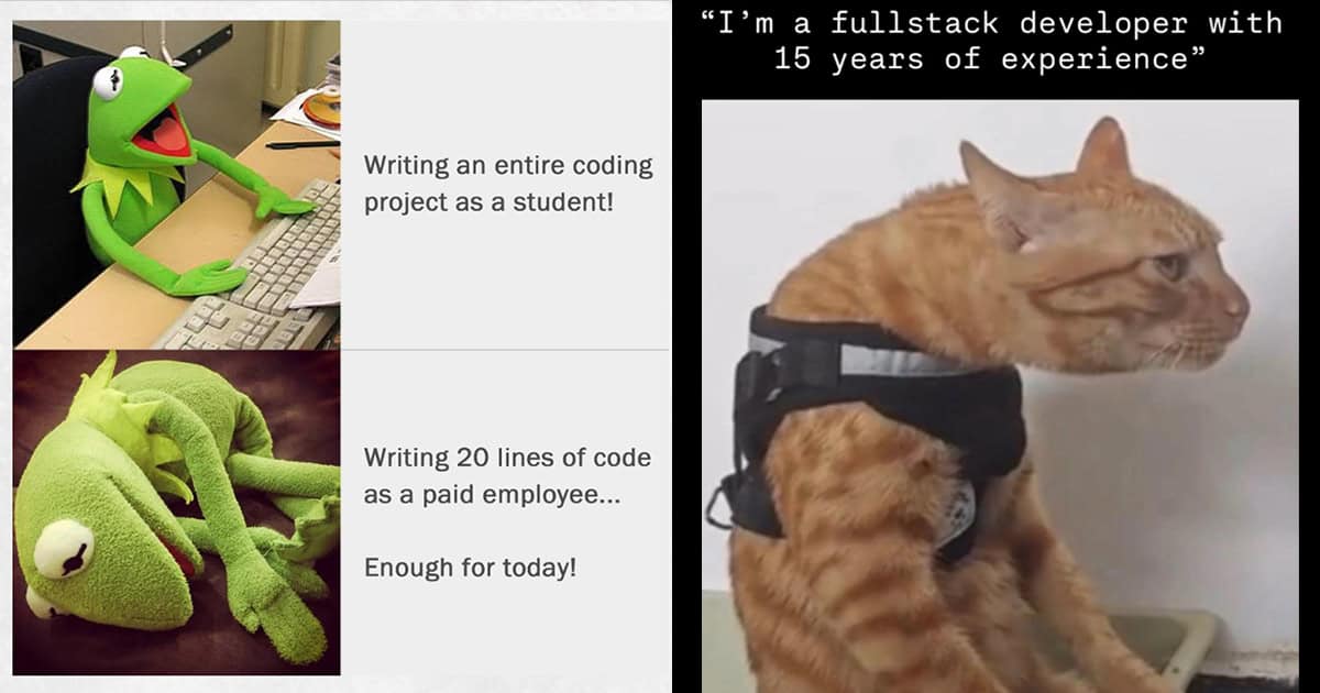 30 Programmer Memes For Folks Who Can Talk To Computers Like A Robotic ...