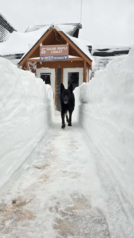 30 Inches of Snow Buries Michigan Ski Area