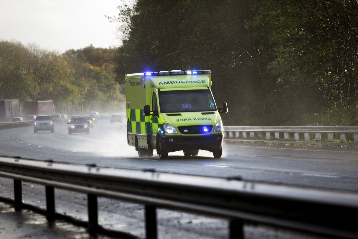 Teenager, 18, dies after exiting ambulance on motorway(00)