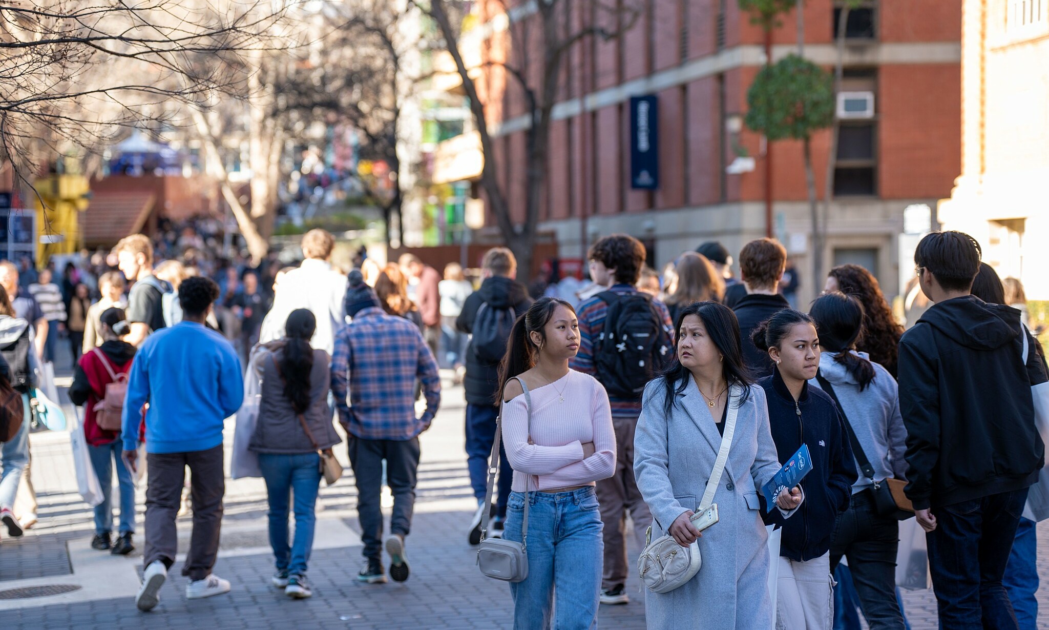 Vietnamese students in Australia face declining employment rates, lower ...