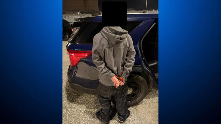17-year-old San Jose Valley Fair mall shooting suspect charged with ...
