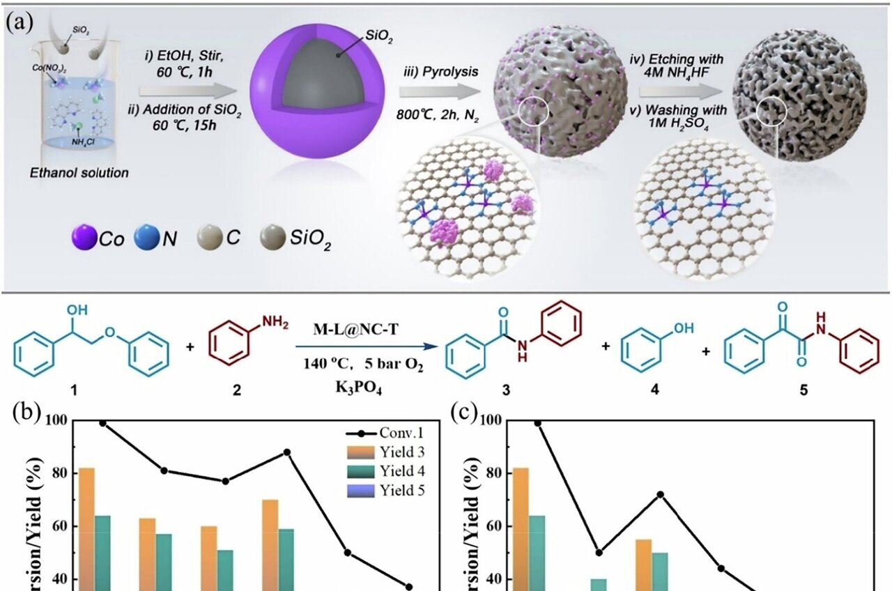 From pine chips to pharmaceuticals: Lignin upcycled into amides using ...