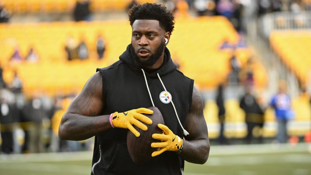 NFL writer urges Steelers to cut Pro Bowl defensive player this offseason