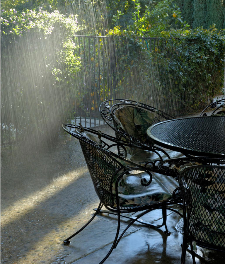 How to protect your garden before this week’s heavy rain arrives