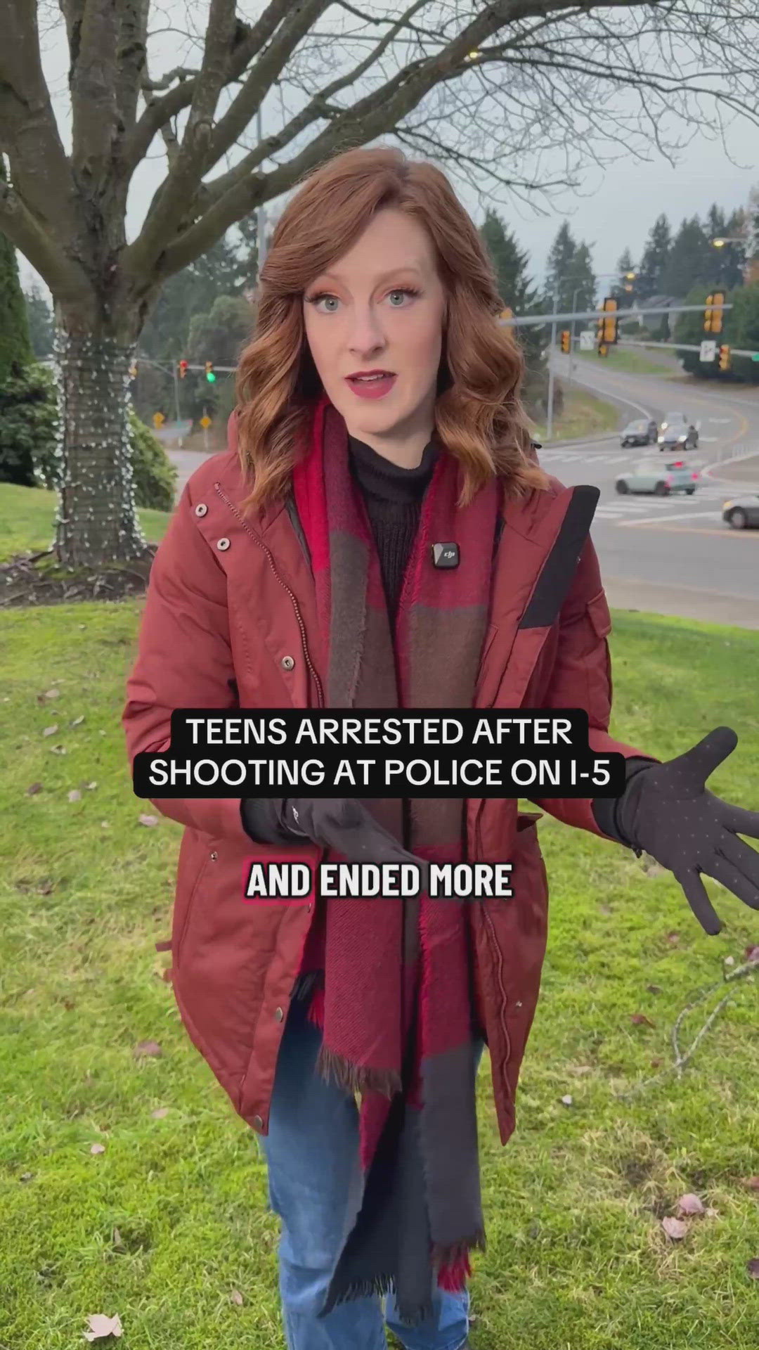4 teens arrested in I-5 shooting