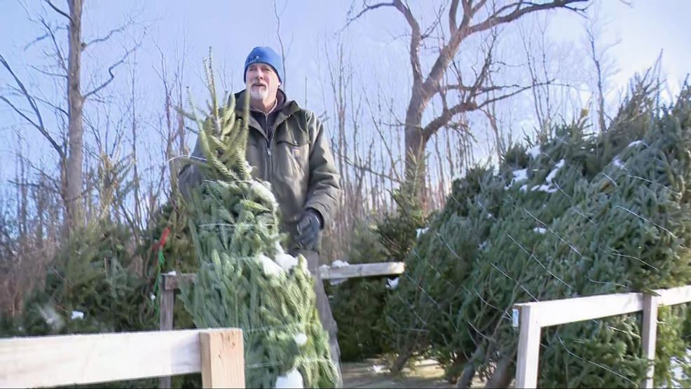 The Ice Farm to deliver Christmas Trees to military members for 'Trees ...