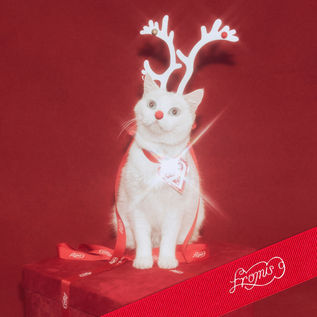 프로미스나인 하얀 그리움 관련 이미지