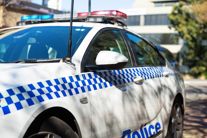 Woman in her 20s dies after savage dog attack in Australia as man ...