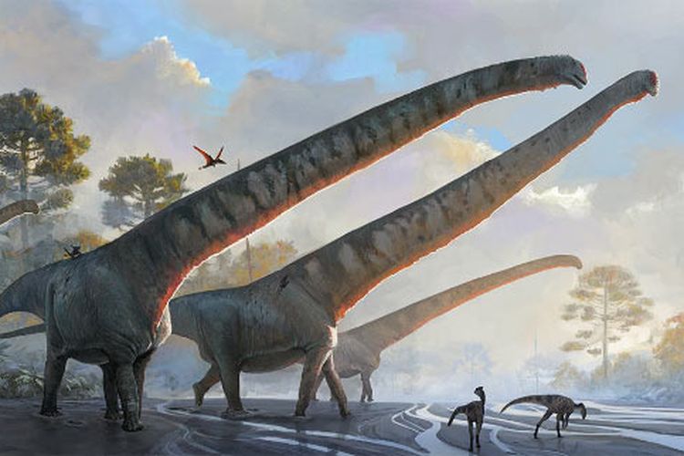 Dinosaurus Mamenchisaurus Baru Ditemukan di Tiongkok, Berusia 160 Juta Tahun