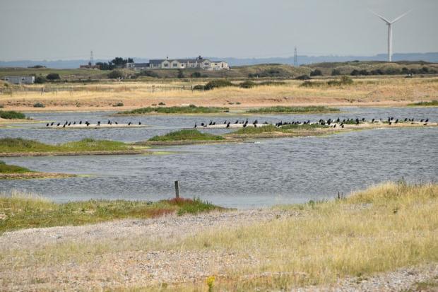 section-of-nature-reserve-closed-to-public-as-bird-flu-cases-confirmed