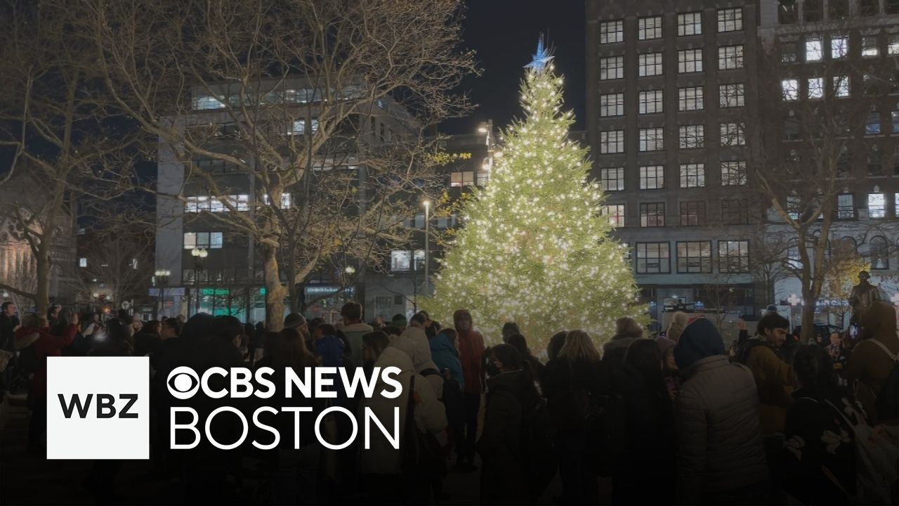 Tree lighting marks grand reopening of Copley Square in Boston