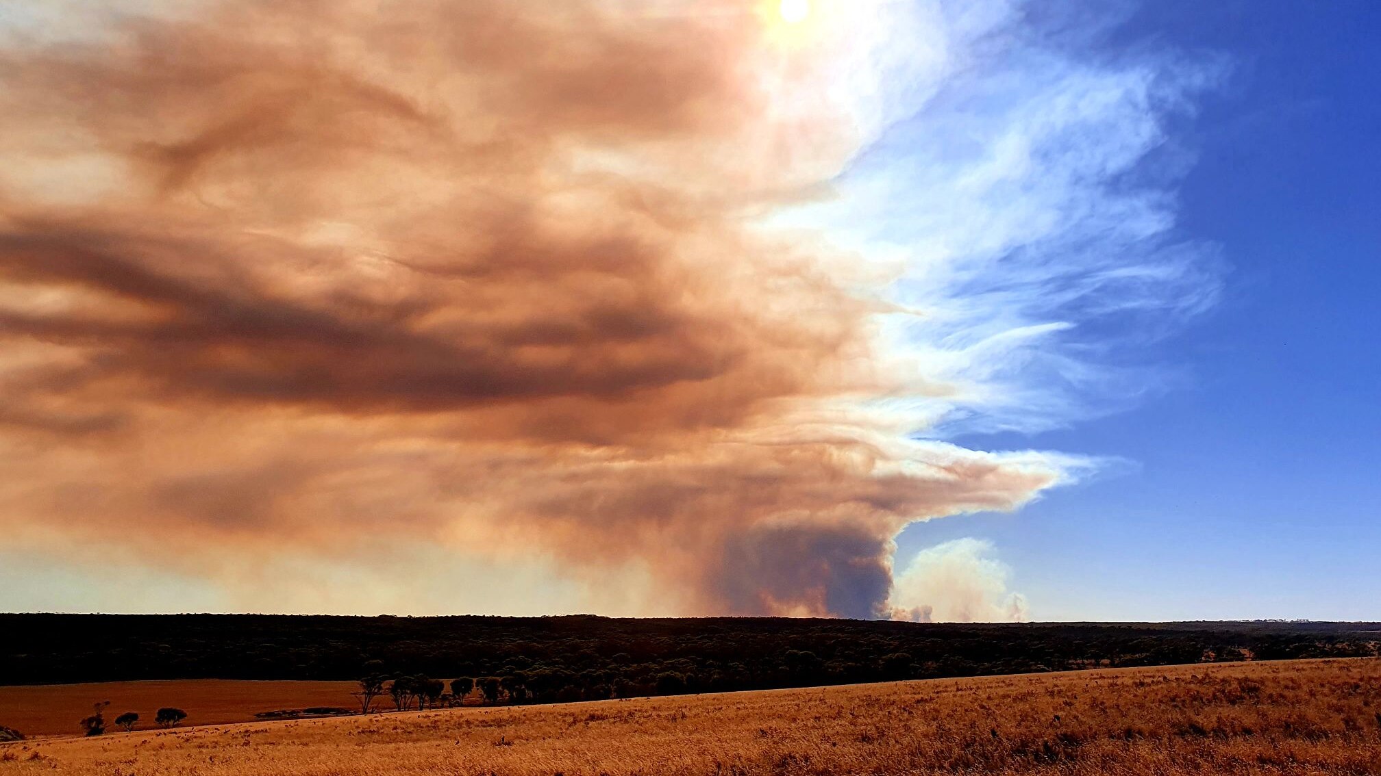 Farmer killed fighting West River bushfire near Ravensthorpe on WA's ...