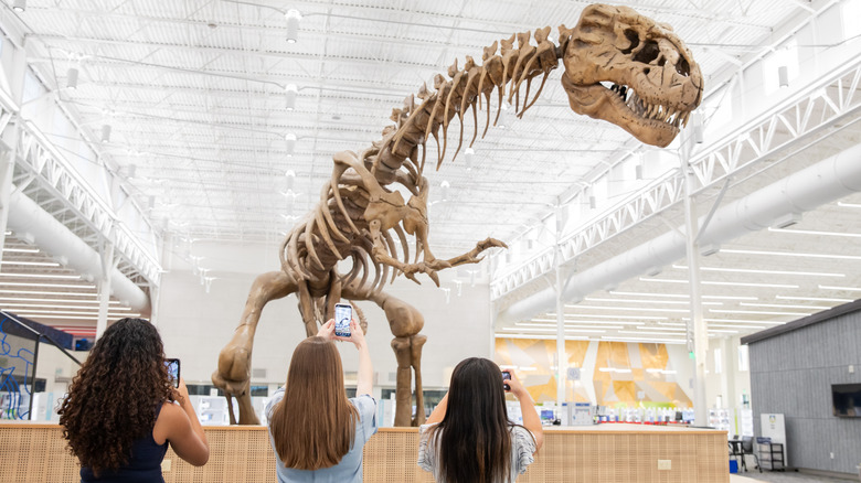 Travelers Agree This Simple Museum Admission Hack Is Well Worth The Money