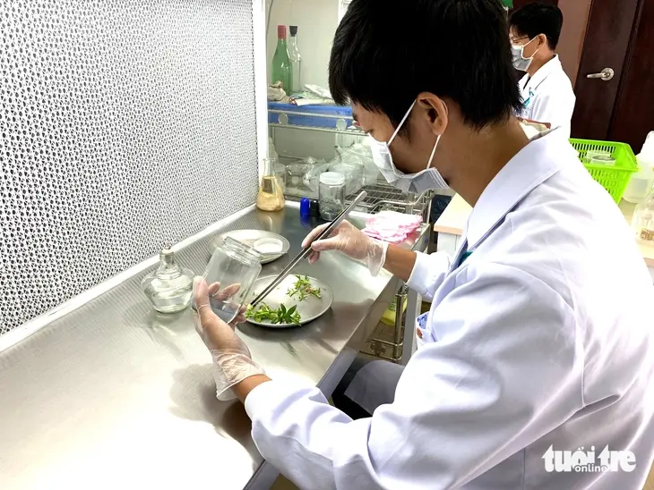 Đại học Quốc gia TP.HCM đặt mục tiêu đến năm 2030 sẽ tuyển dụng được 350 nhà khoa học theo Chương trình VNU350 - Ảnh: TRẦN HUỲNH