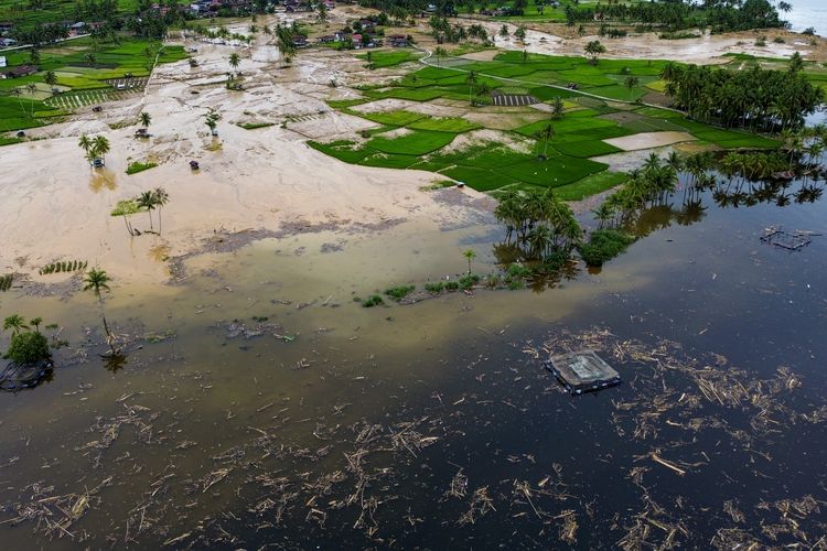 Ahli UGM: Kerusakan Hutan Hulu Tingkatkan Banjir Sumatera 80 Persen