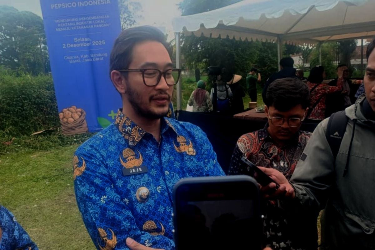 Kentang Industri Tumbuh di Cisarua, Bupati Jeje: Pertanian Bandung Barat Diperhatikan Skala Besar