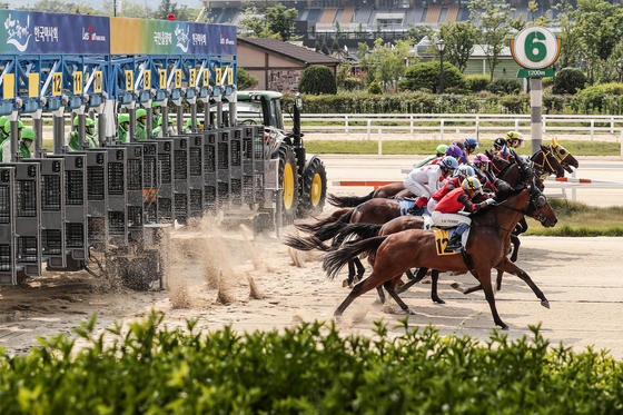한국마사회가 주관하는 경마 경기. 본 기사와 관련 없음. 연합뉴스