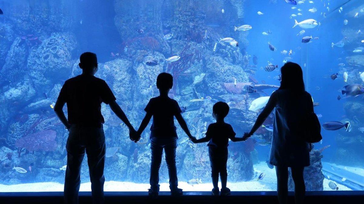 6 Destinasi Wisata Anak di Jakarta yang Buka Sampai Malam