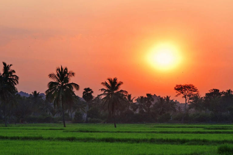 Karnataka Launches e-Swathu 2.0: Here's How To Apply And Get e-Khata
