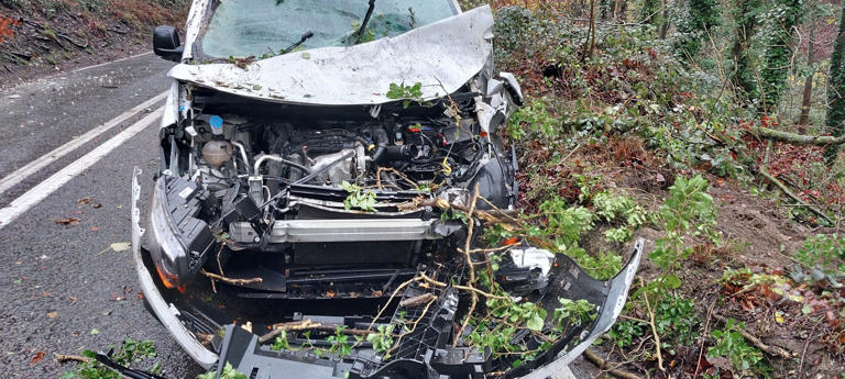 Driver narrowly escapes serious injuries after tree falls onto car on ...
