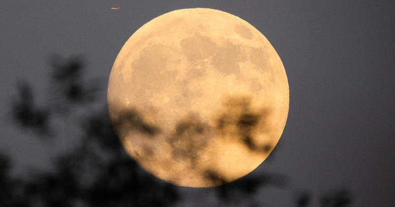 Extraordinary Moon features to spot during the Cold Moon 2025—with or ...