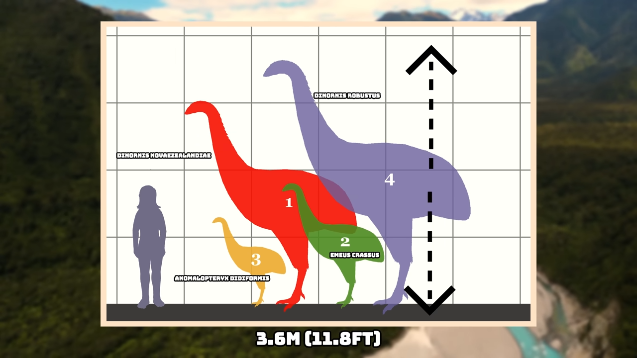 Across all continents, these birds ruled before disappearing forever