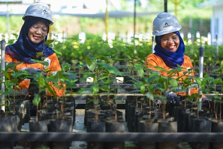 Kaitkan Banjir Bandang Tapsel dengan Operasional, PTAR Umumkan Temuan