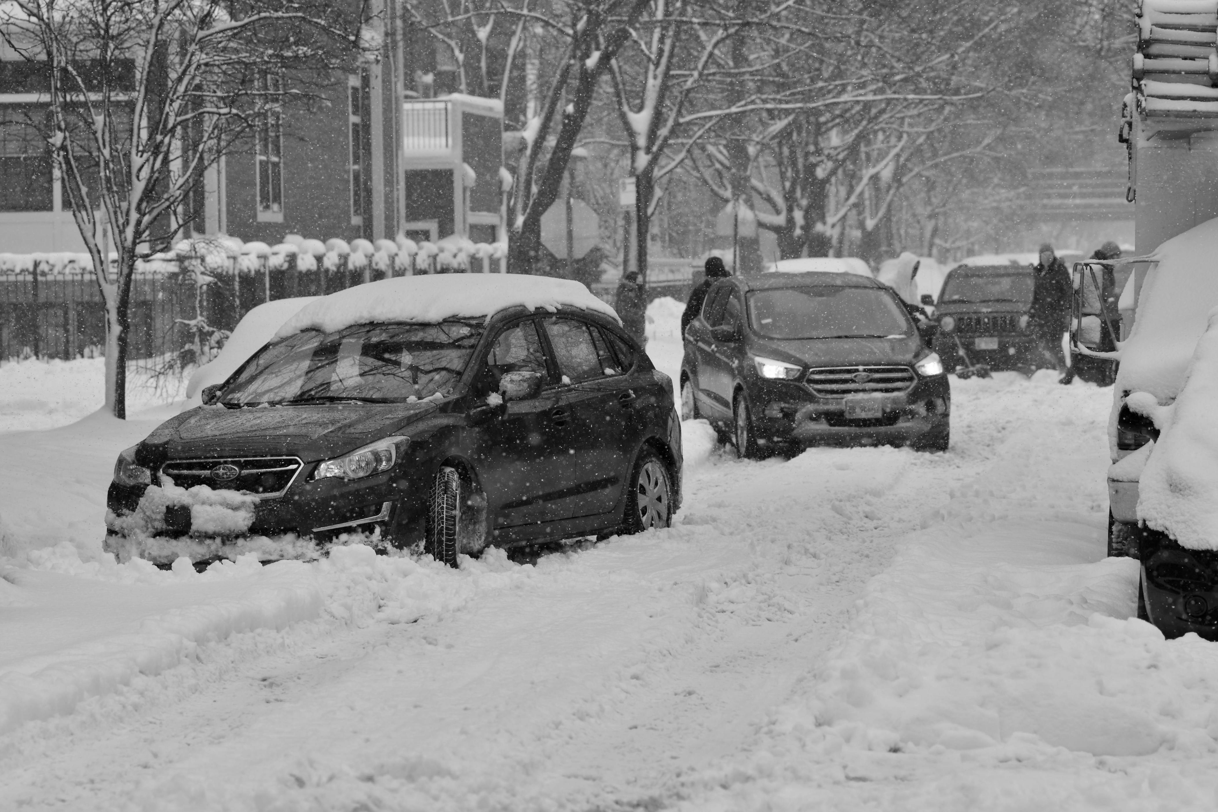 Record November Snowfall Brings Chicago to a Standstill