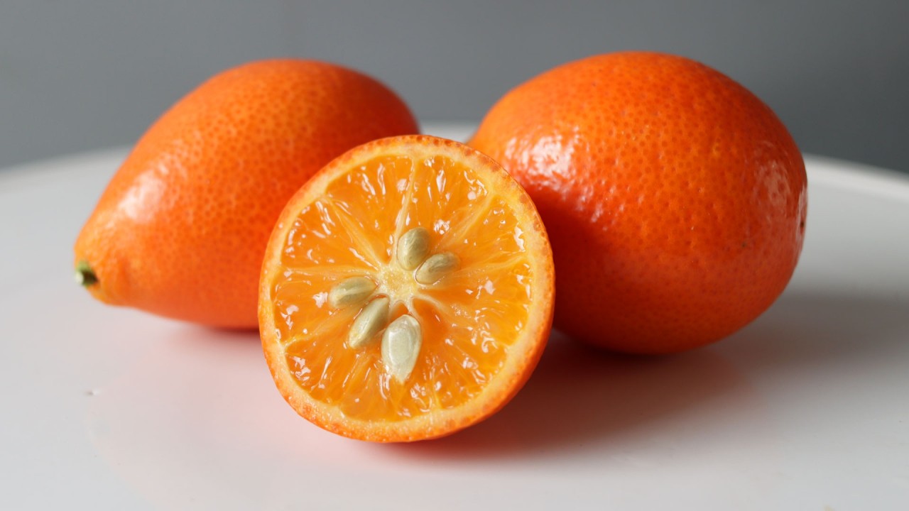 How to eat the mandarinquat? This rare citrus is amazing!<br><br>