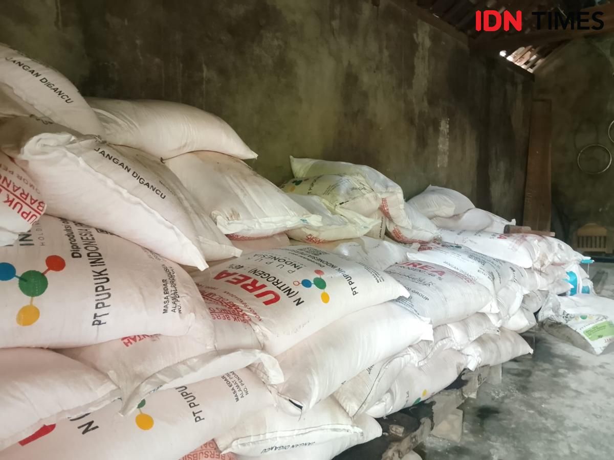 Harga Pupuk Bersubsidi Turun, Stok Aman Dipastikan Grup Pupuk Indonesia