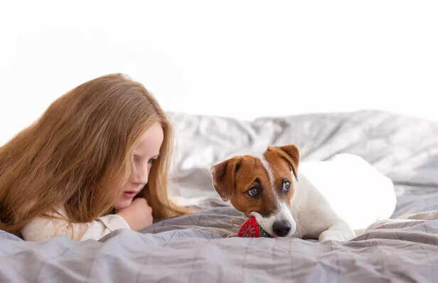 If Your Dog Avoids Someone, Don’t Ignore It