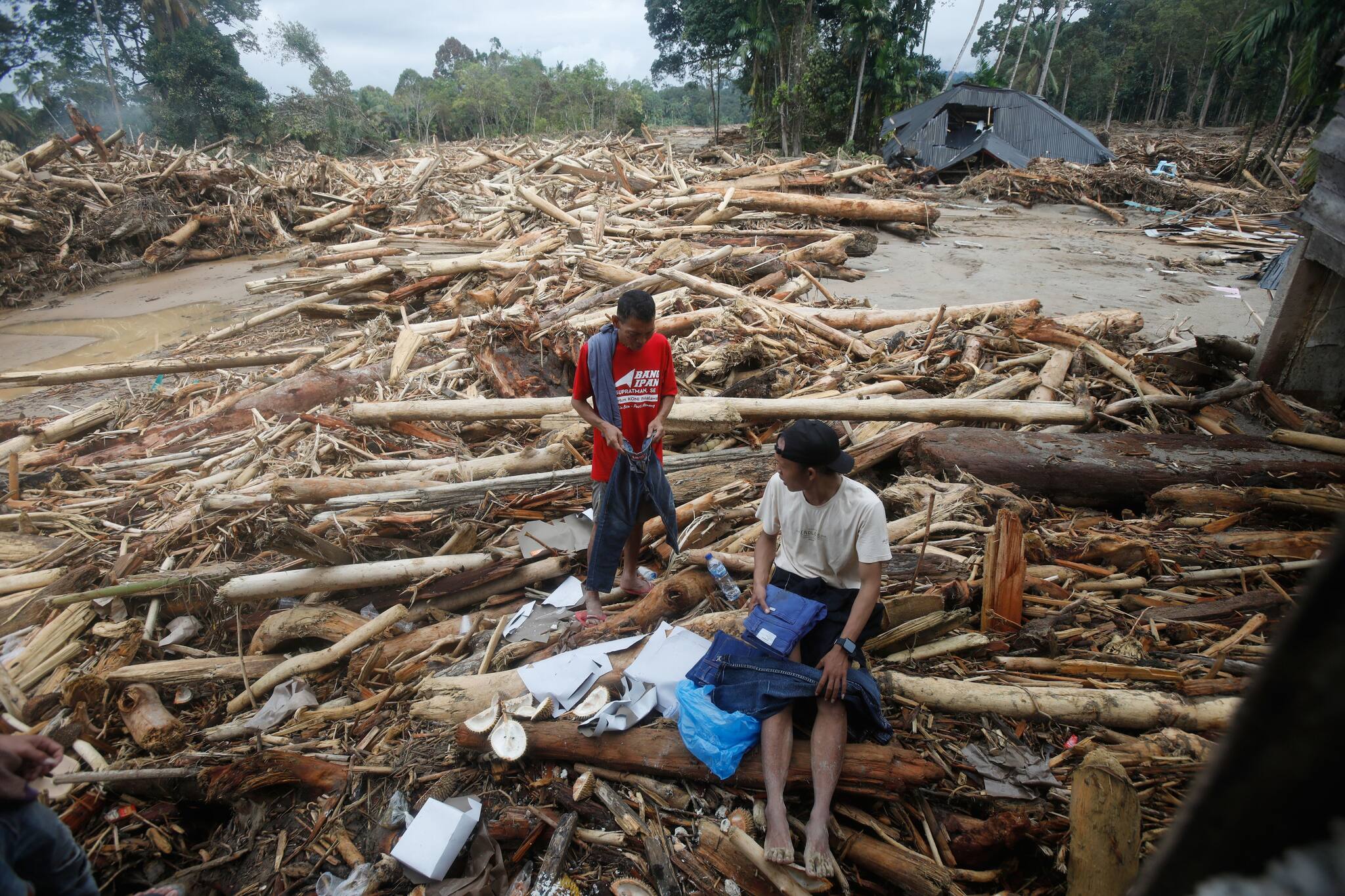 Fluten auf Sumatra: Ist Entwaldung der Hauptgrund für die Katastrophe?