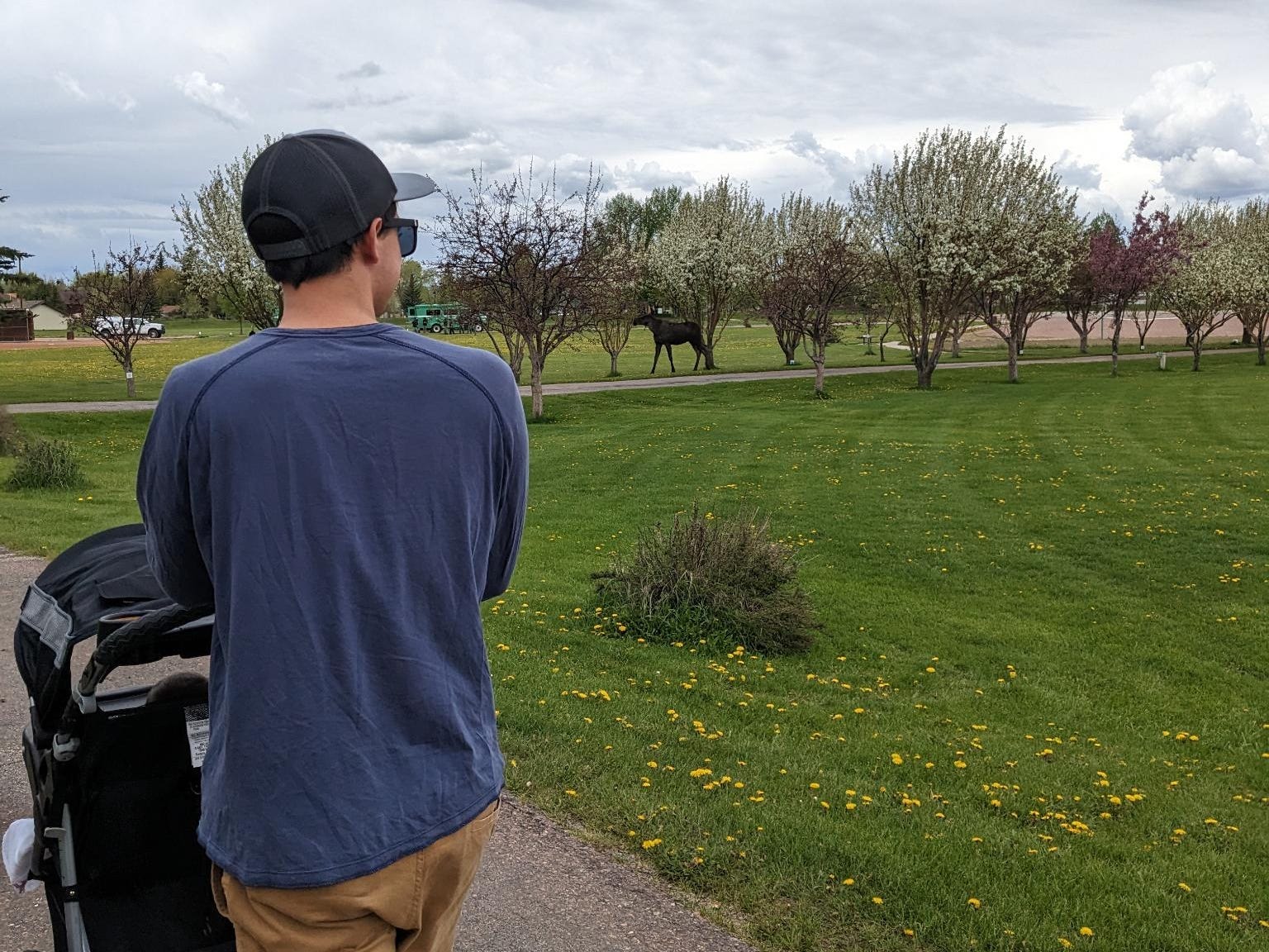 Author Christian Allred pushing stroller near grass
