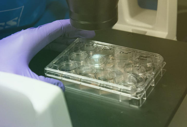 Janux Therapeutics Stock Craters After ‘Positive’ Cancer Data. Why It’s ...