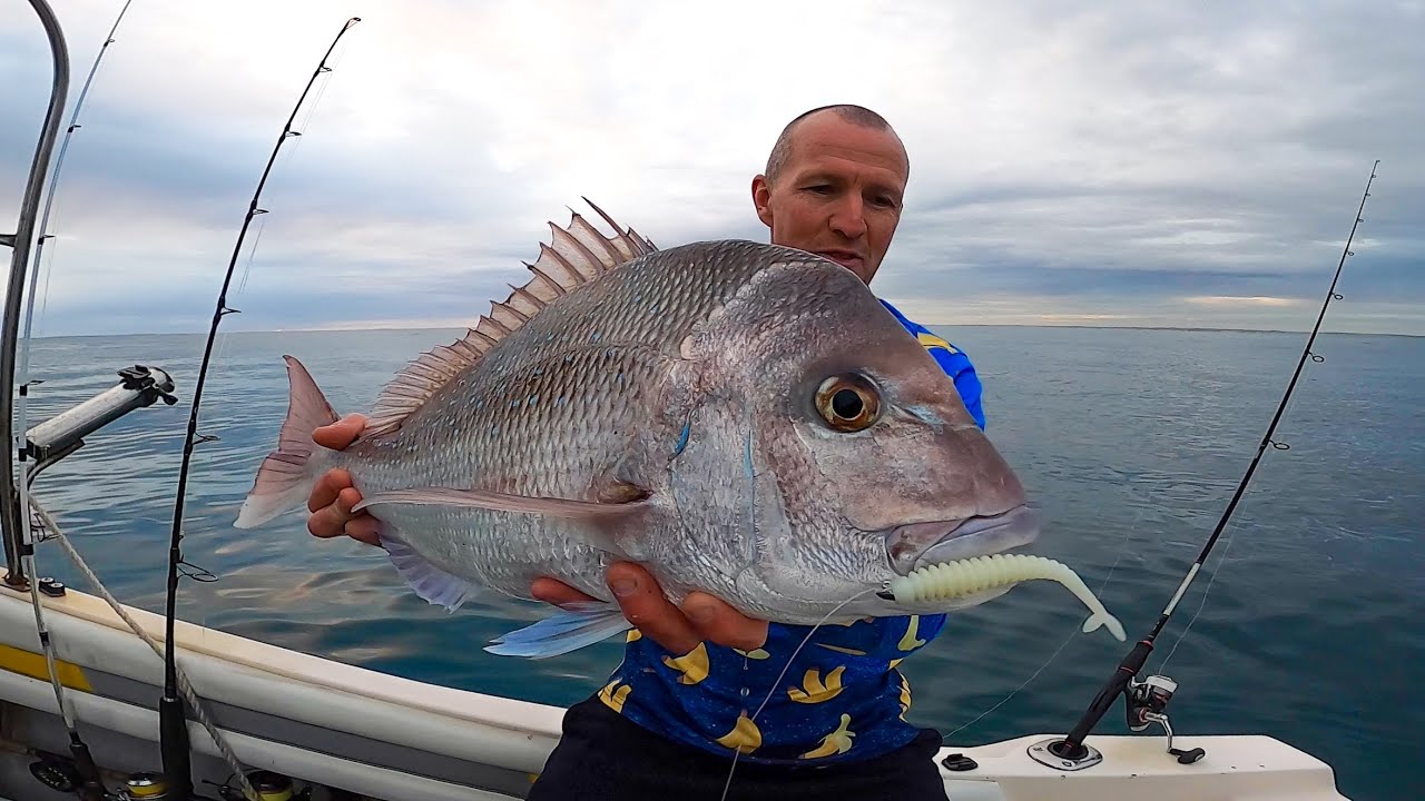 The coastal soft plastic snapper session that got insane fast