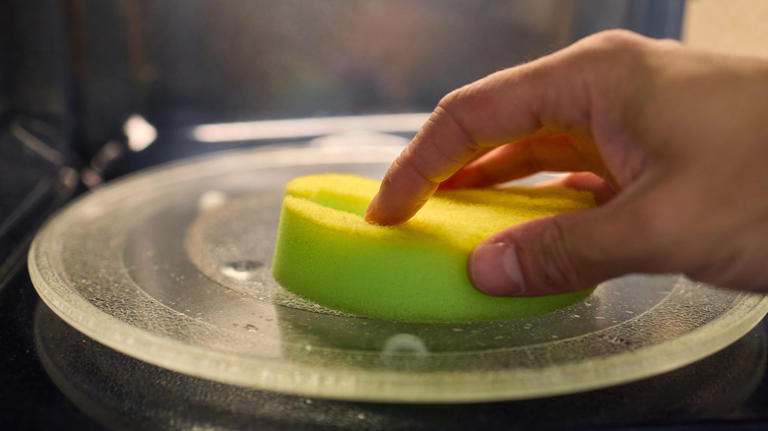 How Often Should You Really Be Disinfecting Your Dish Sponge?