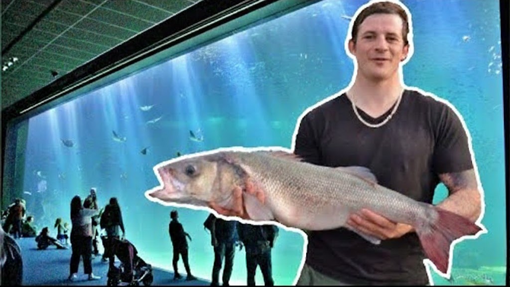 What happens when a fishing cheater raids a giant aquarium