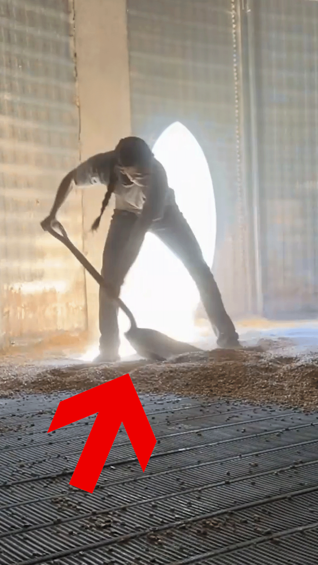 Exploring Inside the Grain Bin