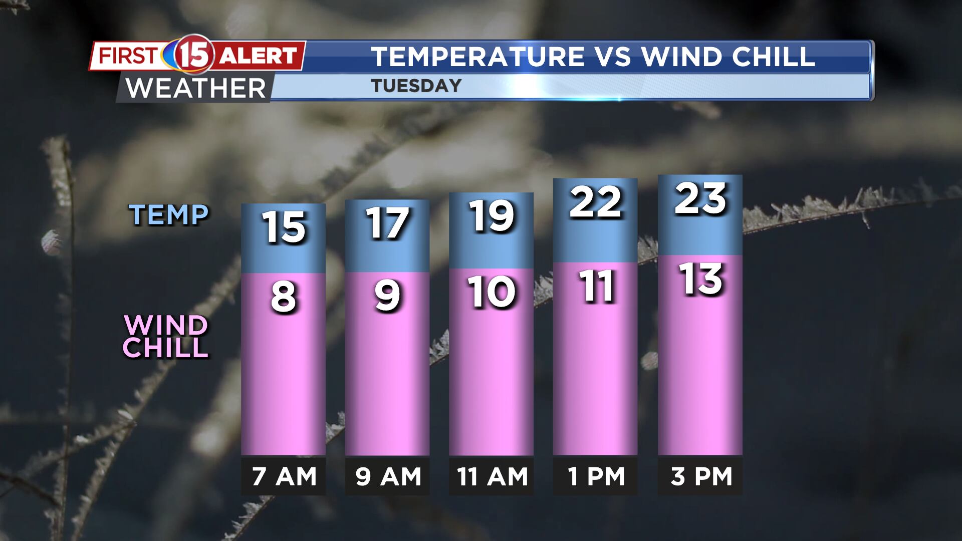 A Little Sunshine today; Light Snow Showers Tonight
