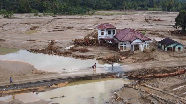 Greenpeace: Pemulihan Hutan Sumatra Butuh Puluhan Tahun