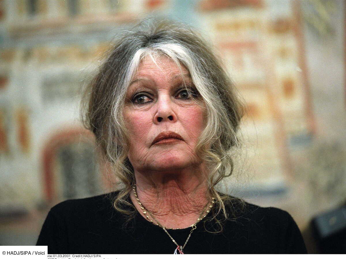 Elle reprend des forces" : Brigitte Bardot est sortie de l'hôpital, son  mari Bernard d'Ormale donne de ses nouvelles