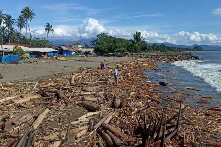 Ribuan Pohon Ditanam di Banten, Reboisasi Menguat di Tengah Banjir Sumatera