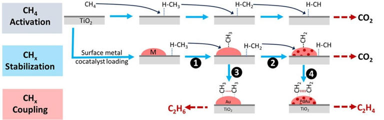 New palladium-gold alloy catalyst boosts methane-to-ethylene conversion ...