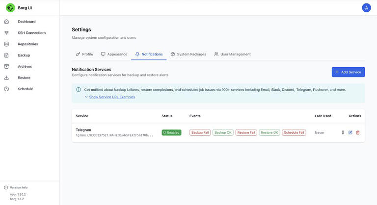 Borg Web UI: Trasforma i tuoi Backup da complessi a semplici in pochi clic