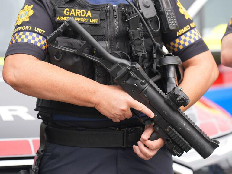 Gardaí launch major search and arrest operation against alleged ...